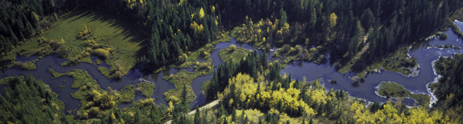 Alberta Parks