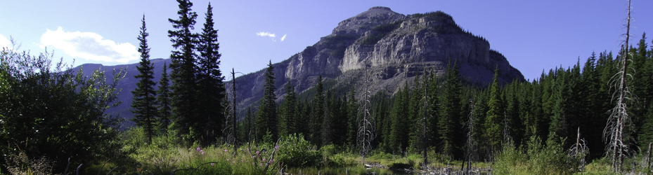 Alberta Parks