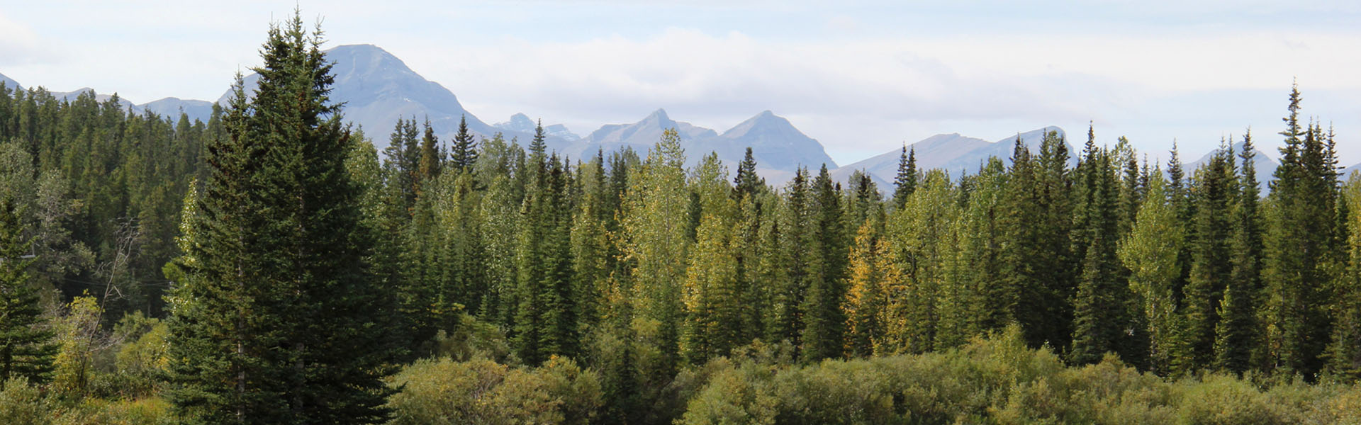 Alberta Parks