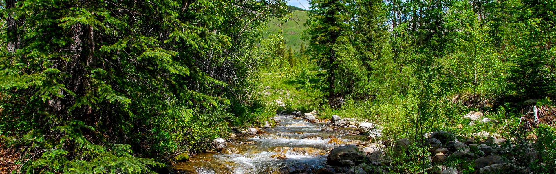 Alberta Parks