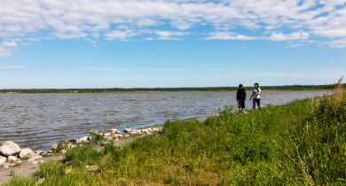 Ecosystems - Miquelon
