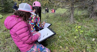 Plants–Structured-for-Survival