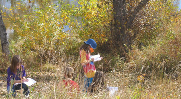 Investigating Ecosystems (1)